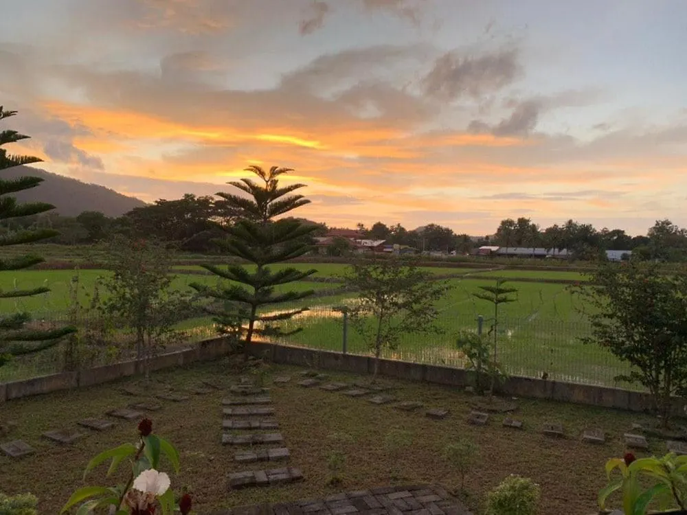 Mimi'S Pine Meadow - Where It Nourishes Our Souls Langkaw Island