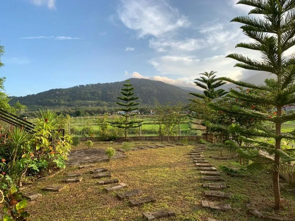 Mimi'S Pine Meadow - Where It Nourishes Our Souls Langkaw Island 0*,  Malesia